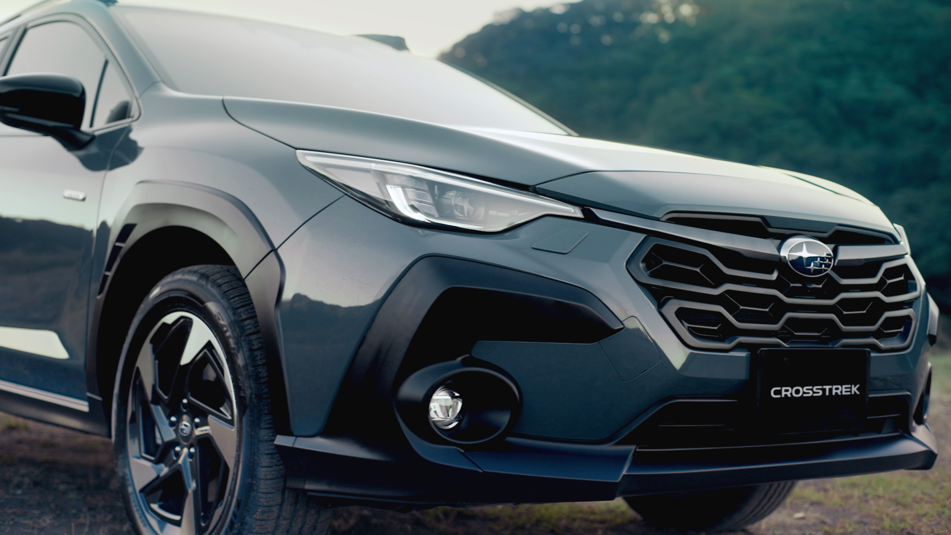 Lichtmetalen 18-inchvelgen