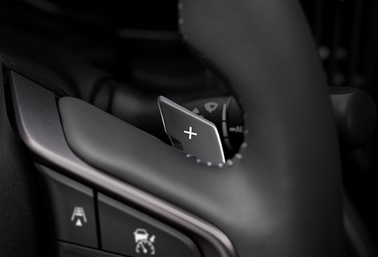 Paddle Shifters [HIDDEN]
