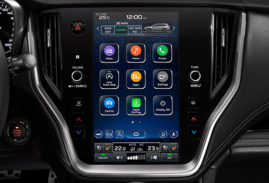 11.6-inch Centre Display [HIDDEN]